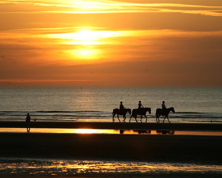 Cabalgata en el mar